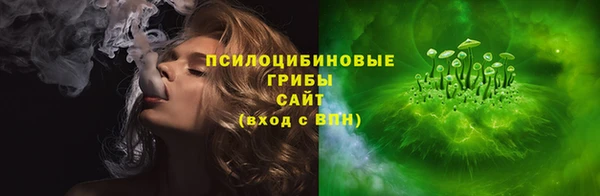 дурь Белокуриха