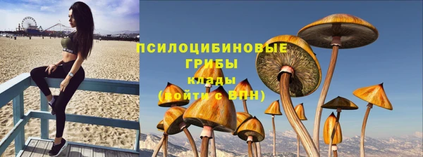 твердый Белоозёрский