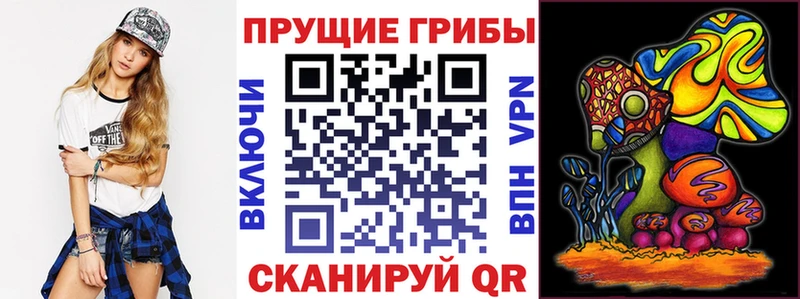 Галлюциногенные грибы Psilocybine cubensis  Борисоглебск 